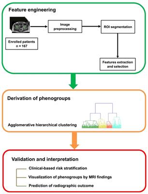 Radiomics-based machine learning model to phenotype hip involvement in ankylosing spondylitis: a pilot study